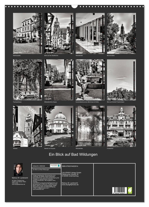 Ein Blick auf Bad Wildungen (CALVENDO Wandkalender 2026)