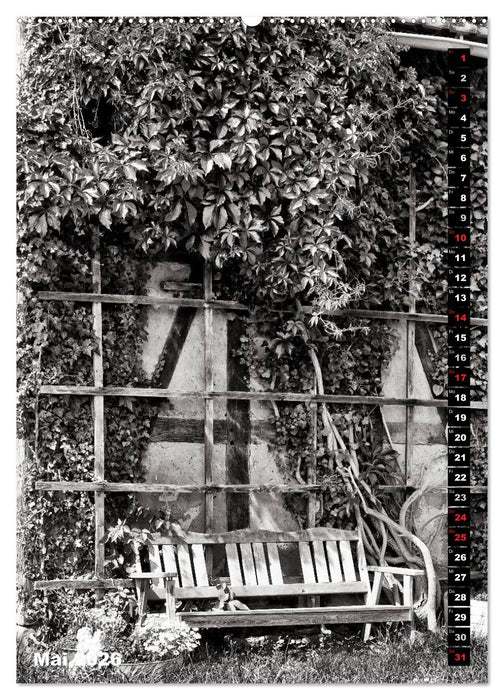 Ein Blick auf Bad Wildungen (CALVENDO Wandkalender 2026)