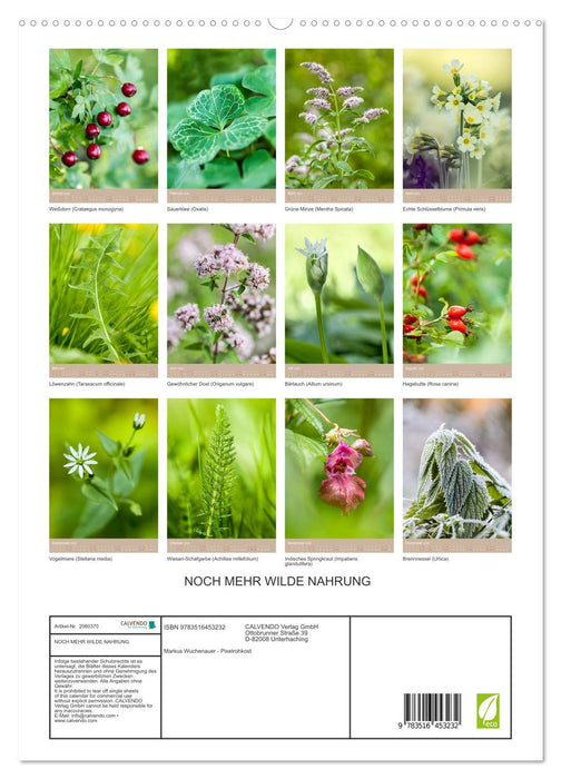 NOCH MEHR WILDE NAHRUNG (CALVENDO Premium Wandkalender 2026)