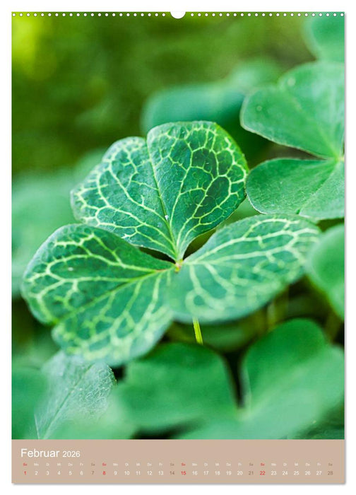 NOCH MEHR WILDE NAHRUNG (CALVENDO Premium Wandkalender 2026)