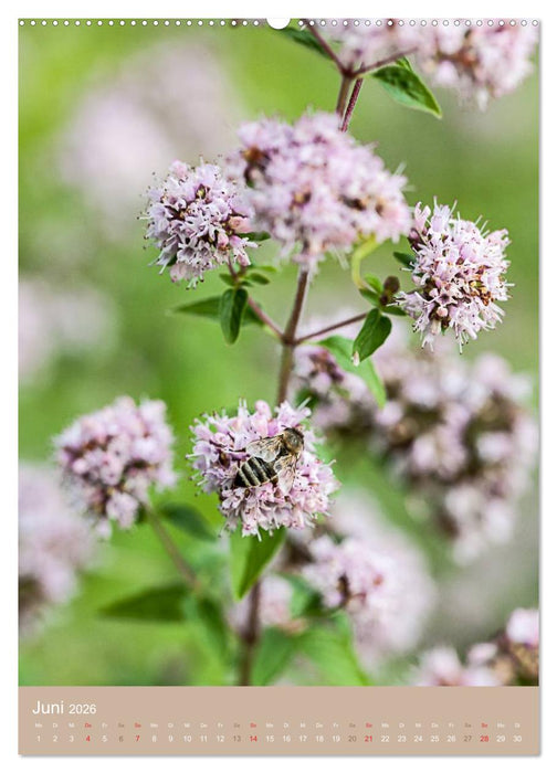 NOCH MEHR WILDE NAHRUNG (CALVENDO Premium Wandkalender 2026)