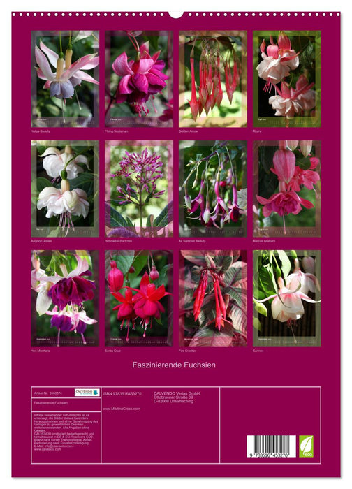 Faszinierende Fuchsien (CALVENDO Premium Wandkalender 2026)