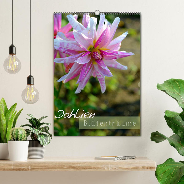 Dahlien - Blütenträume (CALVENDO Wandkalender 2026)