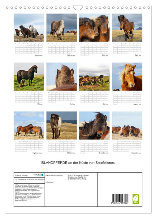 ISLANDPFERDE an der Küste von Snæfellsnes (CALVENDO Wandkalender 2026)