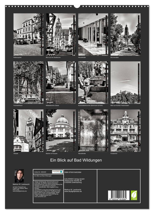 Ein Blick auf Bad Wildungen (CALVENDO Premium Wandkalender 2026)