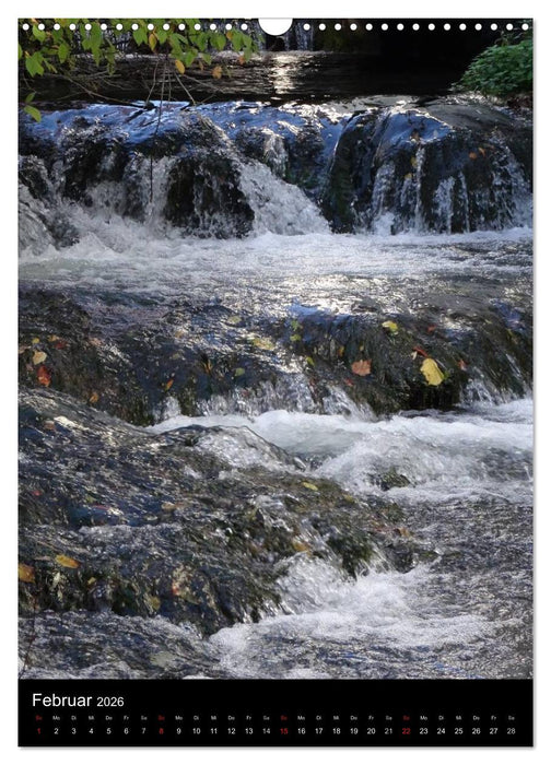 Fischerviertel in Ulm (CALVENDO Wandkalender 2026)