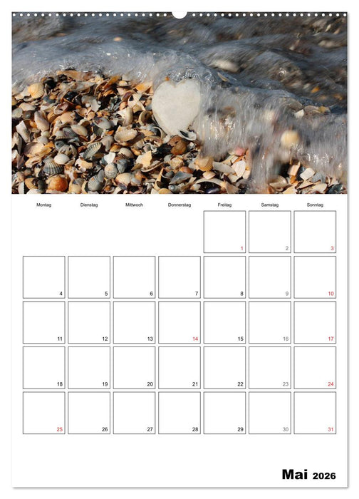 Ein herzliches Jahr (CALVENDO Wandkalender 2026)