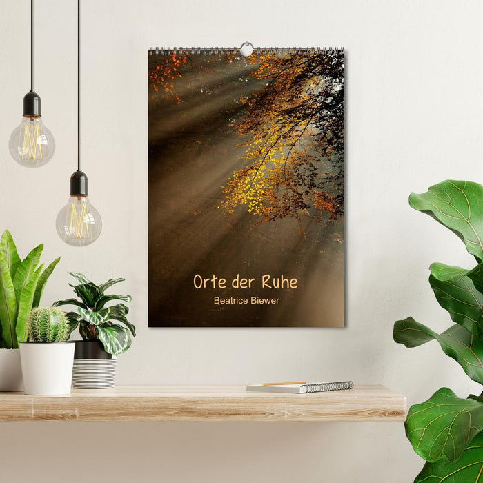 Orte der Ruhe (CALVENDO Wandkalender 2026)