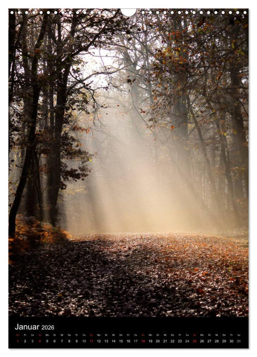 Orte der Ruhe (CALVENDO Wandkalender 2026)