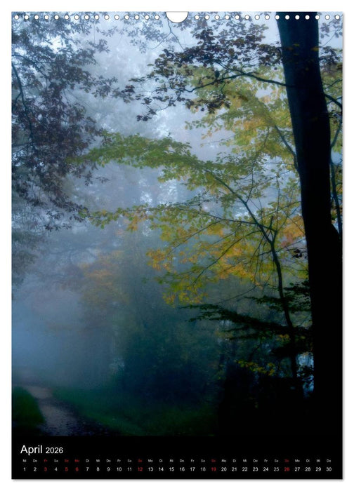 Orte der Ruhe (CALVENDO Wandkalender 2026)