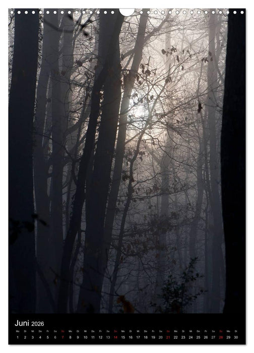 Orte der Ruhe (CALVENDO Wandkalender 2026)