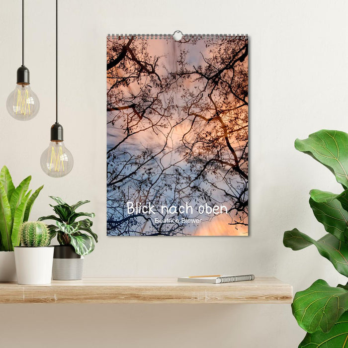 Blick nach oben (CALVENDO Wandkalender 2026)