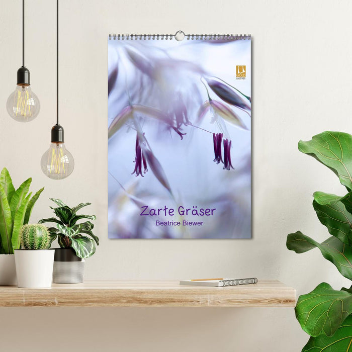 Zarte Gräser (CALVENDO Wandkalender 2026)