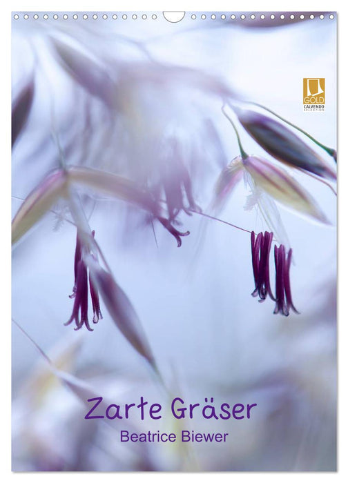 Zarte Gräser (CALVENDO Wandkalender 2026)