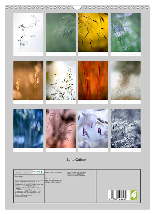 Zarte Gräser (CALVENDO Wandkalender 2026)