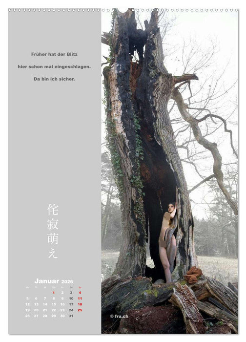 wabi sabi moe — bewundernswert vergänglich erotisch — Akt/Bodypainting (CALVENDO Premium Wandkalender 2026)