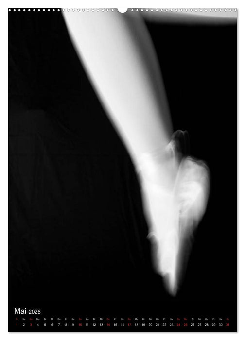 Ballett in Schwarzweiss (CALVENDO Premium Wandkalender 2026)