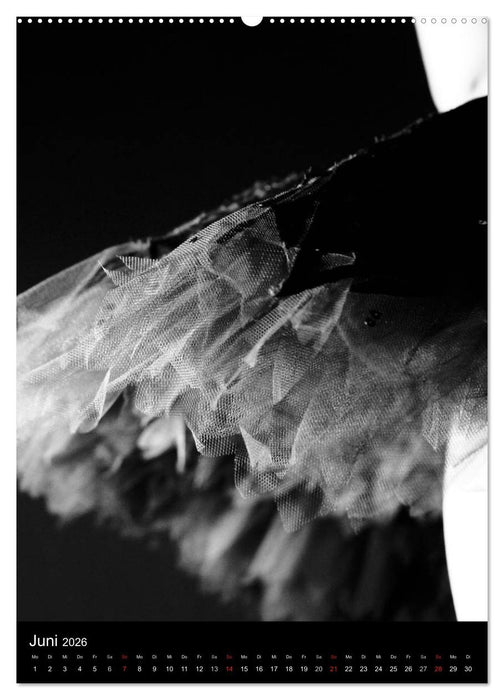 Ballett in Schwarzweiss (CALVENDO Premium Wandkalender 2026)