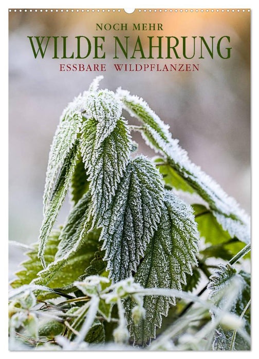NOCH MEHR WILDE NAHRUNG (CALVENDO Wandkalender 2026)