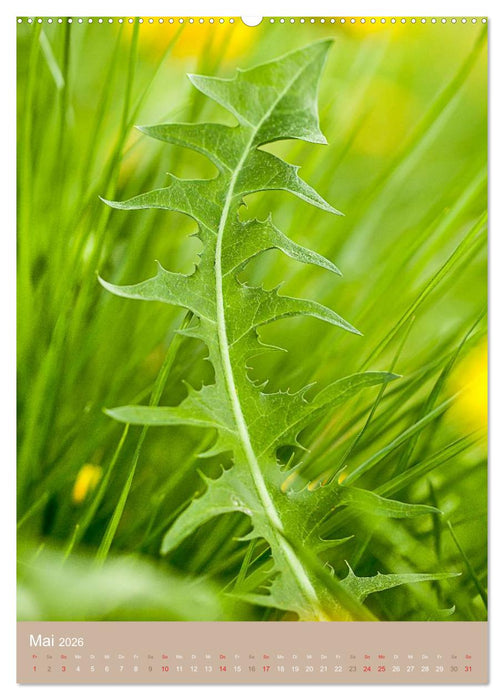 NOCH MEHR WILDE NAHRUNG (CALVENDO Wandkalender 2026)