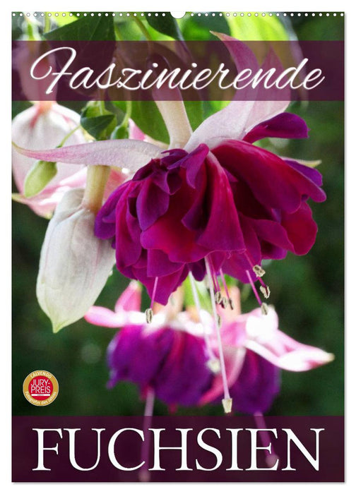 Faszinierende Fuchsien (CALVENDO Wandkalender 2026)