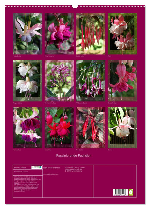 Faszinierende Fuchsien (CALVENDO Wandkalender 2026)