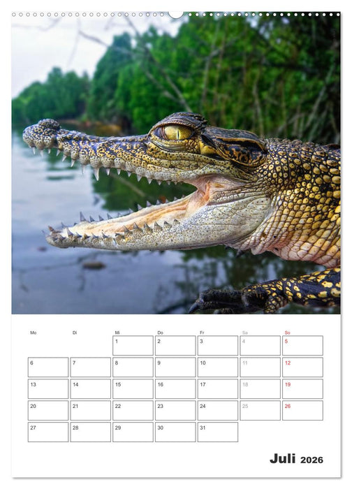 Sri Lanka 2026 - Exotisches Paradies - Jahresplaner (CALVENDO Premium Wandkalender 2026)