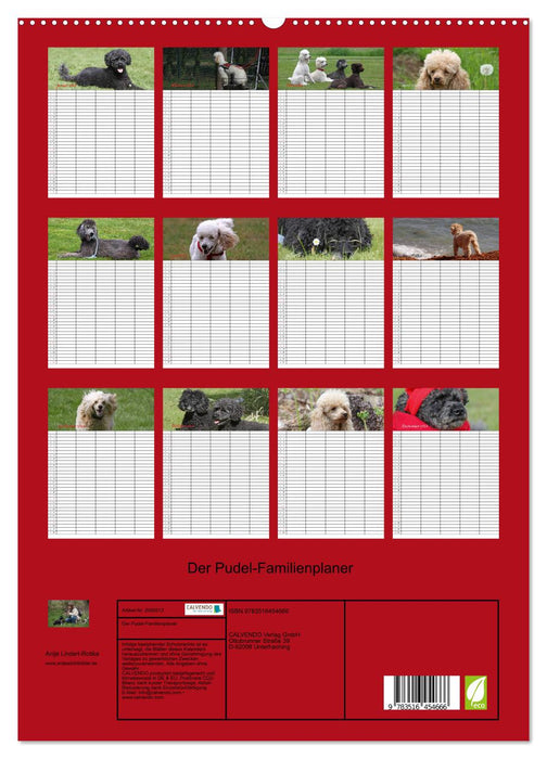Der Pudel-Familienplaner (CALVENDO Premium Wandkalender 2026)