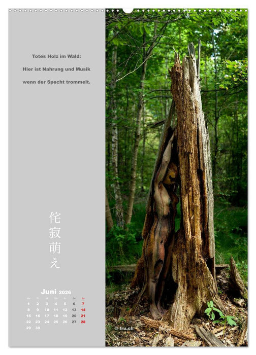 wabi sabi moe — bewundernswert vergänglich erotisch — Akt/Bodypainting (CALVENDO Wandkalender 2026)