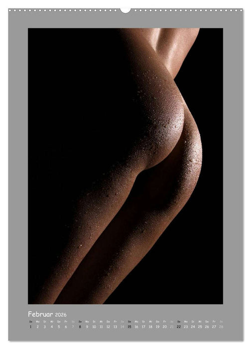 Rückseiten - Für Liebhaber des Runden und Schönen (CALVENDO Premium Wandkalender 2026)