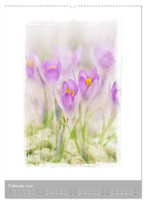 Kunstwerk Natur (CALVENDO Premium Wandkalender 2026)