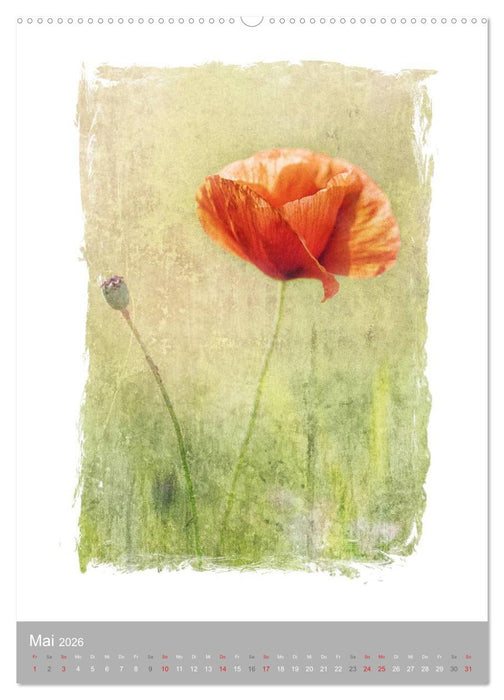 Kunstwerk Natur (CALVENDO Premium Wandkalender 2026)