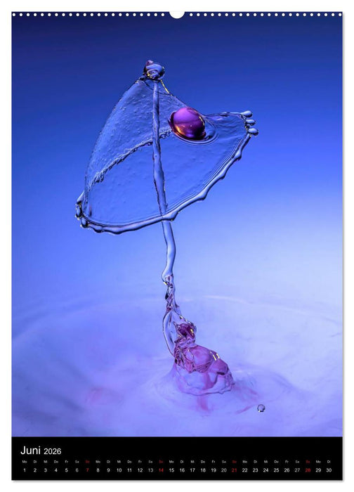 Experimentelle Fotografie Liquid Art (CALVENDO Wandkalender 2026)
