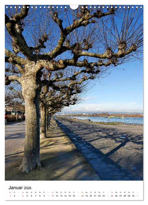 Mainz 2026 Bilder vom Frankfurter Taxifahrer Petrus Bodenstaff (CALVENDO Wandkalender 2026)