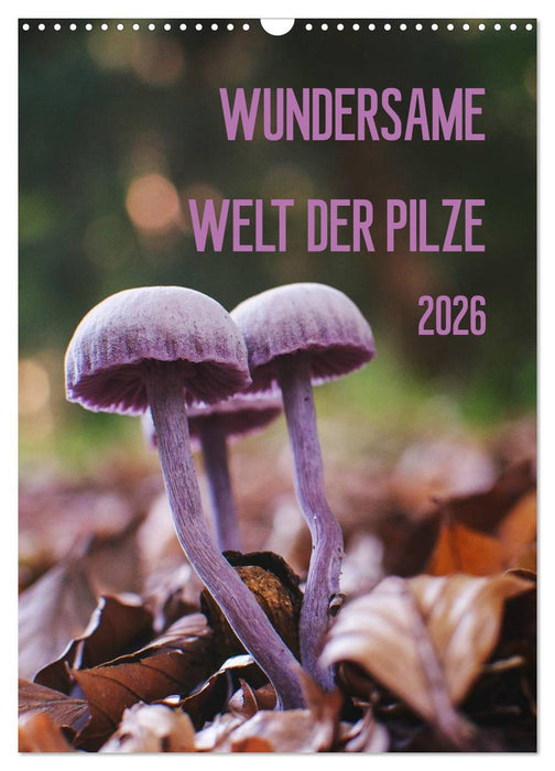 Wundersame Welt der Pilze (CALVENDO Wandkalender 2026)