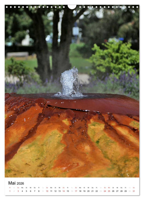 Wiesbaden Kalender 2026 Bilder vom Frankfurter Taxifahrer Petrus (CALVENDO Wandkalender 2026)