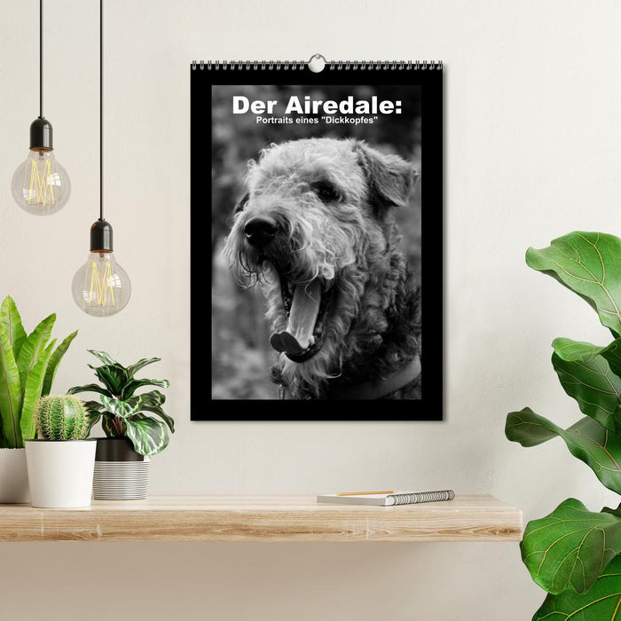 Der Airedale: Portraits eines "Dickkopfes" (CALVENDO Wandkalender 2026)