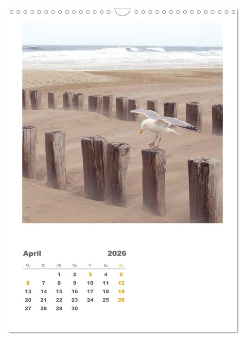 Hollands Strandparadies Zeeland (CALVENDO Wandkalender 2026)