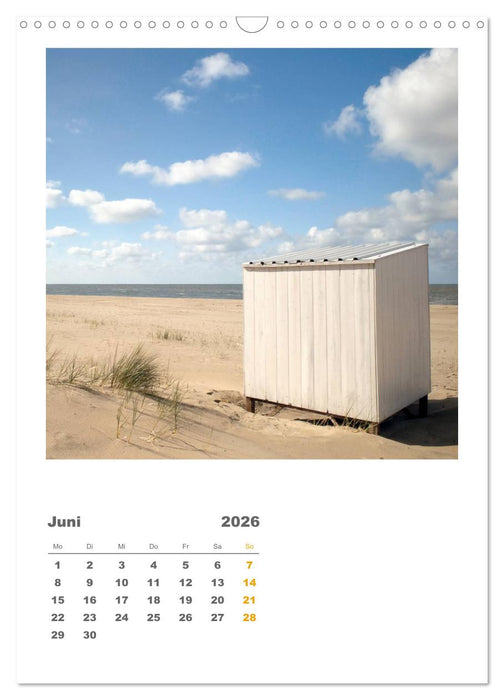 Hollands Strandparadies Zeeland (CALVENDO Wandkalender 2026)