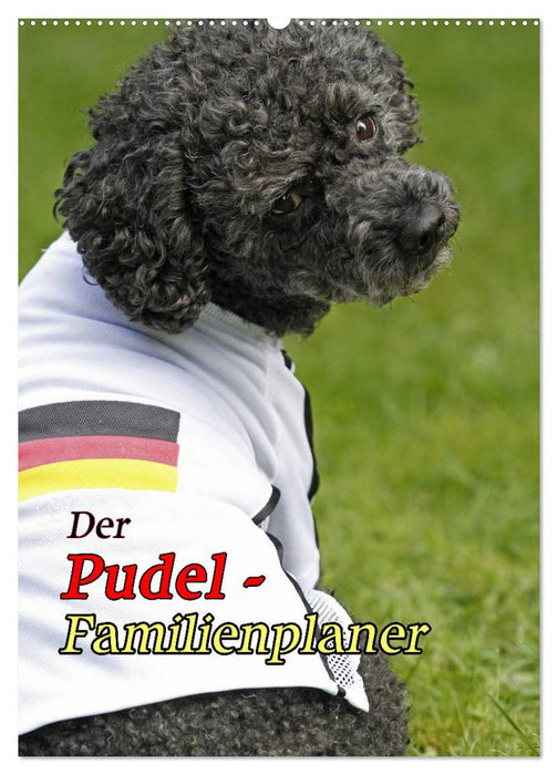 Der Pudel-Familienplaner (CALVENDO Wandkalender 2026)
