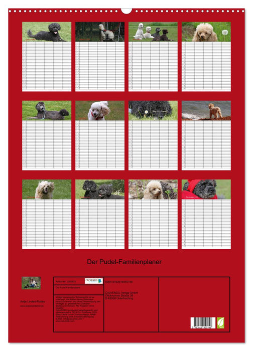 Der Pudel-Familienplaner (CALVENDO Wandkalender 2026)