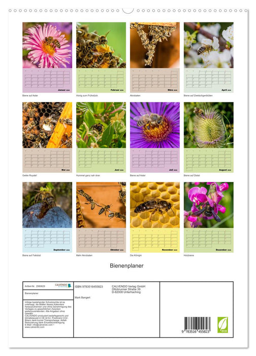 Bienenplaner (CALVENDO Premium Wandkalender 2026)