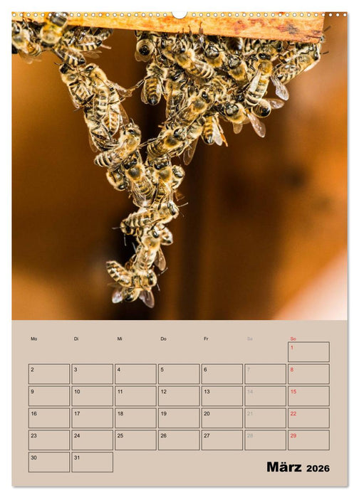 Bienenplaner (CALVENDO Premium Wandkalender 2026)