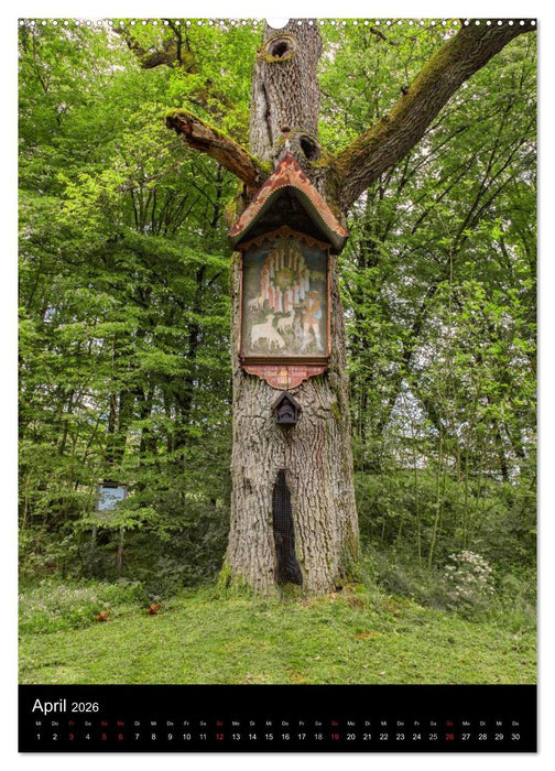 Iphofen - Wein und Kultur (CALVENDO Premium Wandkalender 2026)