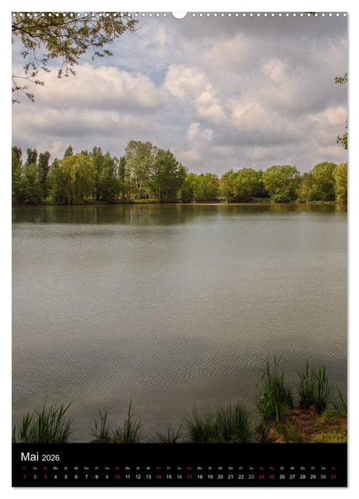 Iphofen - Wein und Kultur (CALVENDO Premium Wandkalender 2026)