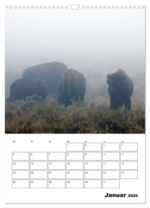 Yellowstone und Grand Tetons Nationalparks (CALVENDO Wandkalender 2026)