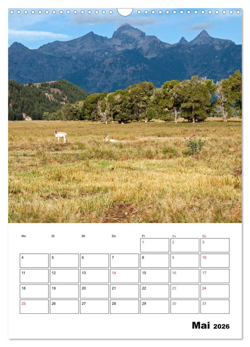 Yellowstone und Grand Tetons Nationalparks (CALVENDO Wandkalender 2026)
