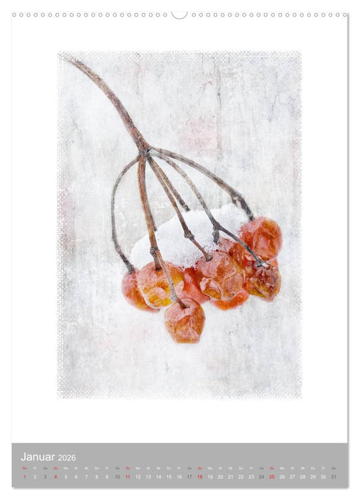 Kunstwerk Natur (CALVENDO Wandkalender 2026)