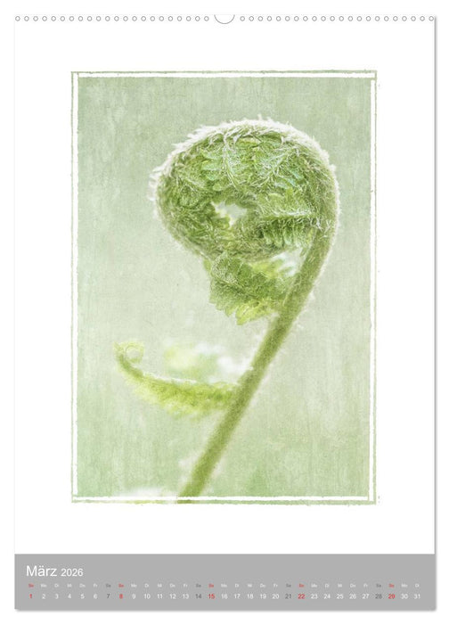 Kunstwerk Natur (CALVENDO Wandkalender 2026)