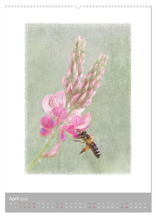 Kunstwerk Natur (CALVENDO Wandkalender 2026)